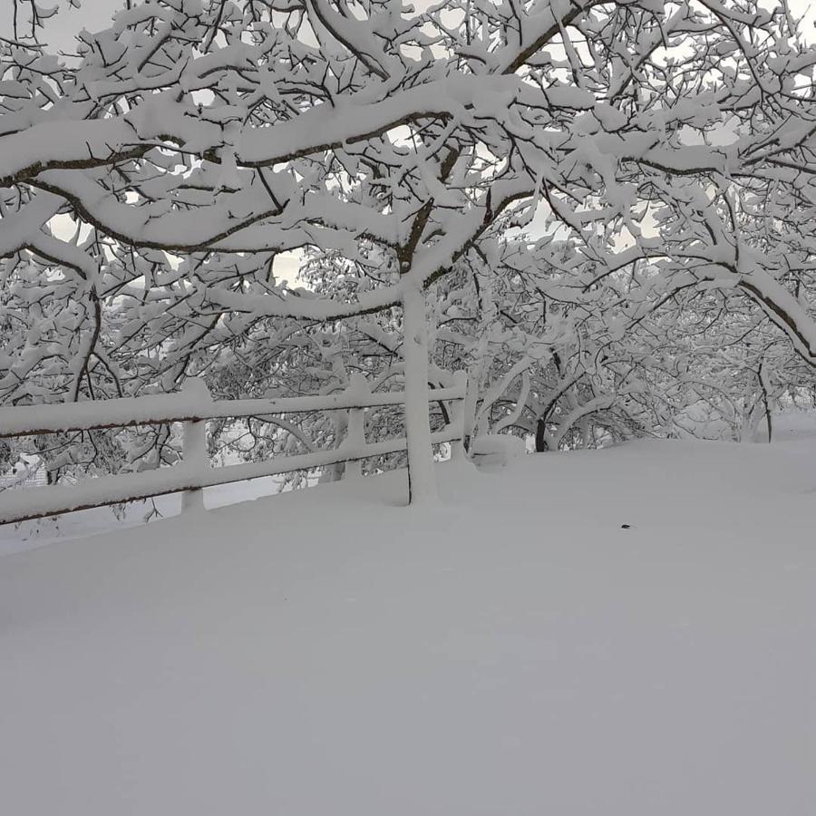 Agriturismo S'Armidda Seulo Экстерьер фото