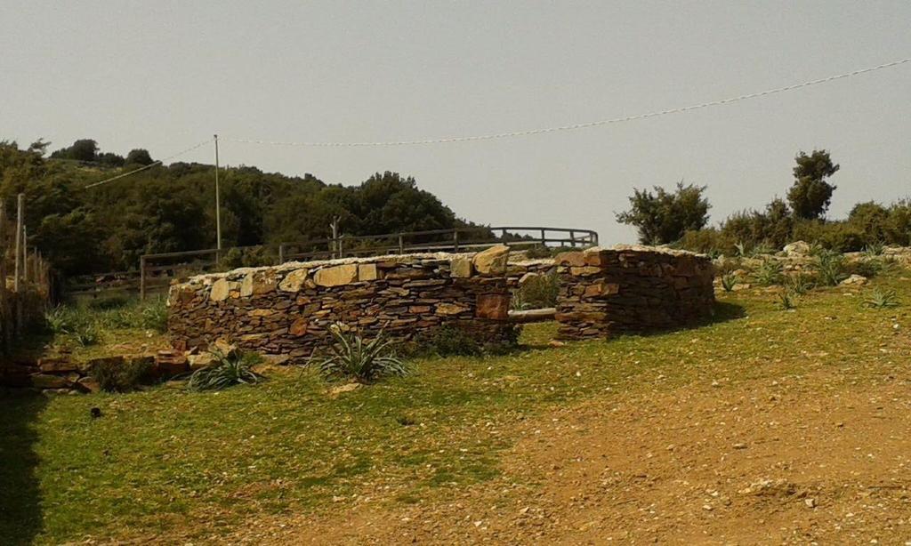 Agriturismo S'Armidda Seulo Экстерьер фото