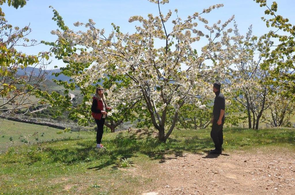 Agriturismo S'Armidda Seulo Экстерьер фото